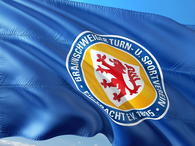 这两家巨头 这两家巨头