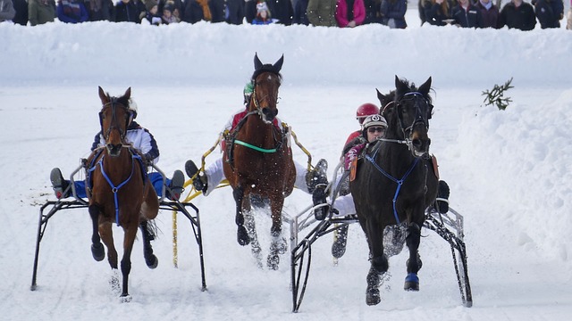 蒂斯还是曼 蒂斯还是曼