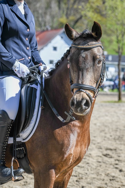 当时莱斯特 当时莱斯特
