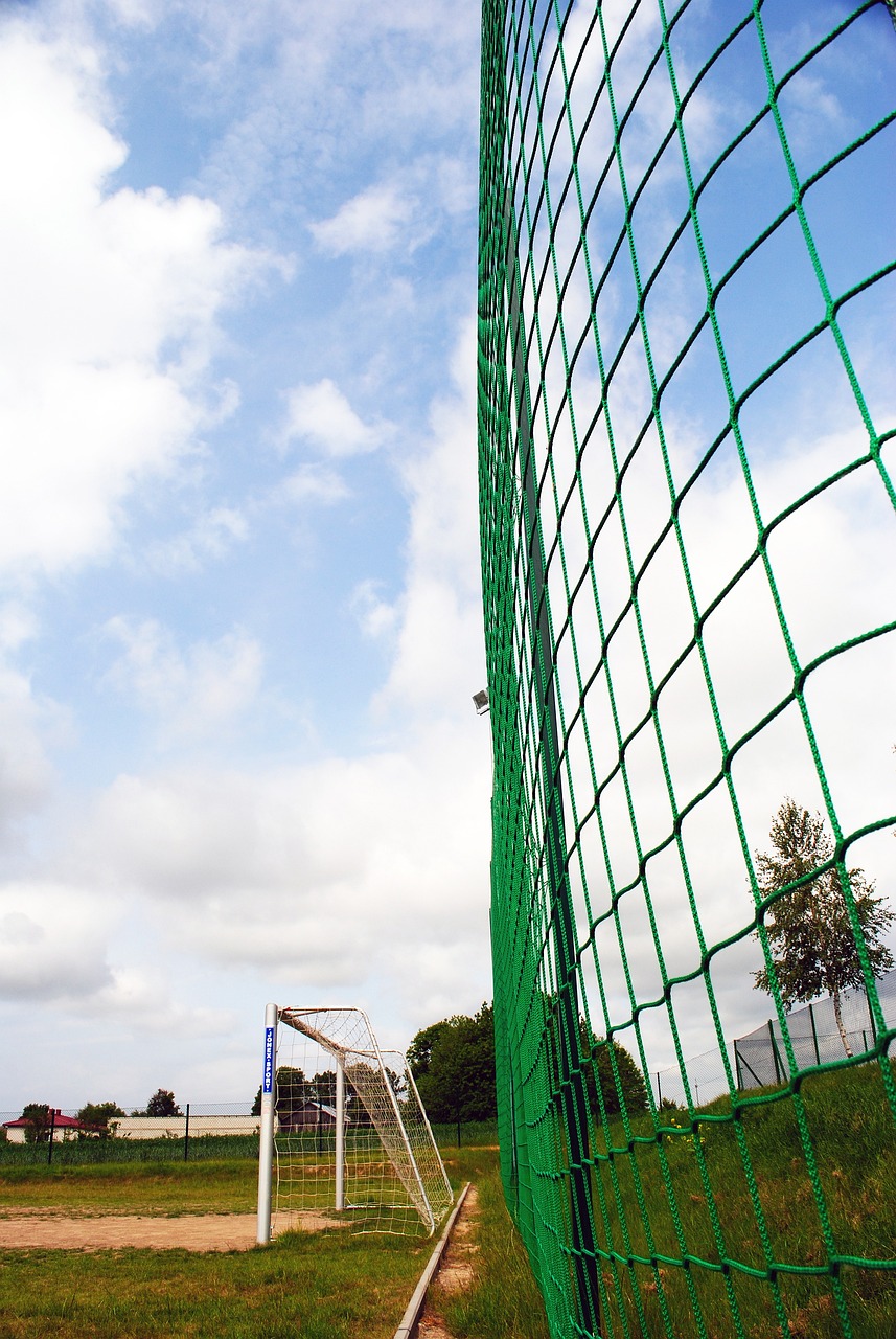 轻化阵容以 轻化阵容以