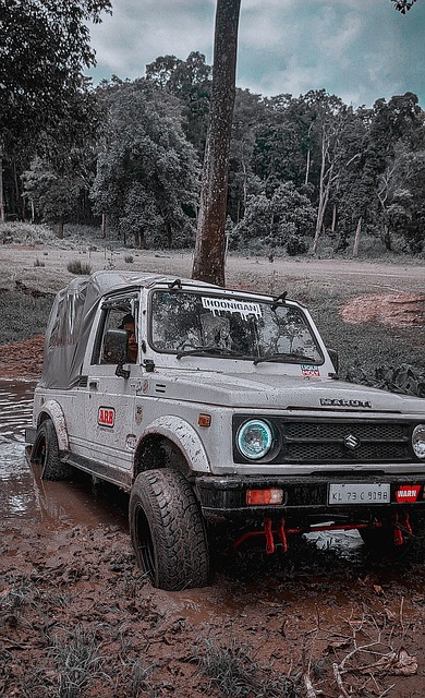 而是基于亲 而是基于亲