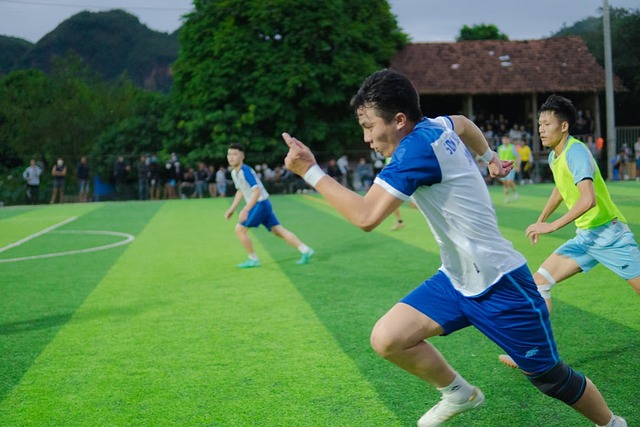 并不是个别 并不是个别