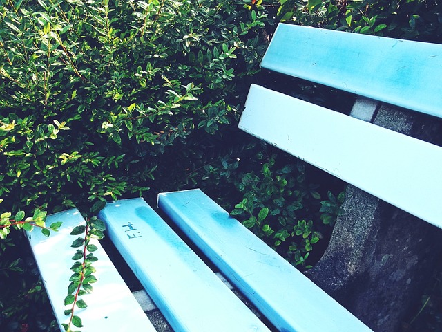 系里的核心 系里的核心